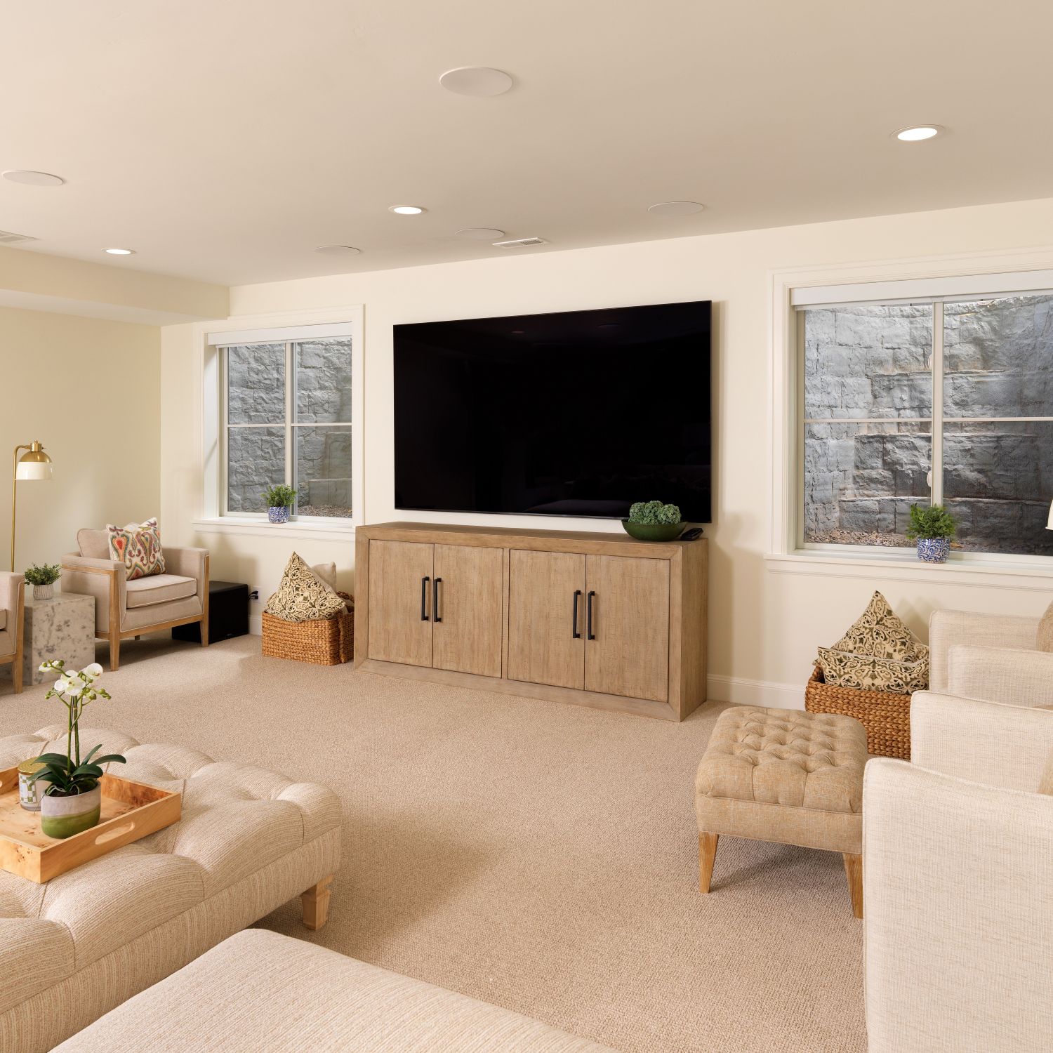 basement living area